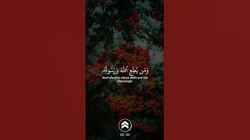 قران كريم | الأحزاب من الاية 68