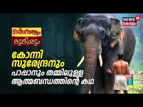 കൊമ്പനും കുങ്കിയും; ഒരു ആന പാപ്പാന്റെ കഥ |  Konni Surendran | Wild Elephant Attack|Kerala News Today