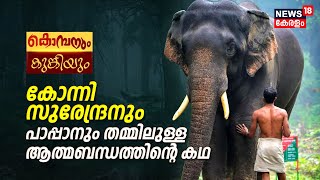 കൊമ്പനും കുങ്കിയും; ഒരു ആന പാപ്പാന്റെ കഥ |  Konni Surendran | Wild Elephant Attack|Kerala News Today