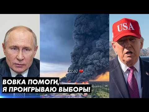 ВОВКА ПОМОГИ, Я ПРОИГРЫВАЮ ВЫБОРЫ! ВОТ ЧТО