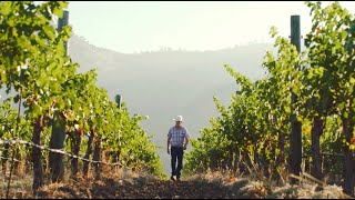 Stag's Leap Wine Cellars – Kirk Grace discusses plans to take FAY & S.L.V. Certified Organic by stagsleapwinecellars 594 views 1 year ago 3 minutes, 13 seconds