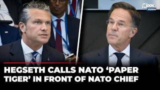 Hegseth Again Lectures NATO In Front Of NATO Chief: ‘'Era Of Free Riding Is Over’ | World News