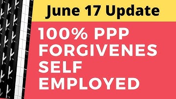 NEW 100% PPP Full Forgiveness Formula Self Employed | PPP Loan Forgiveness Independent Contractor