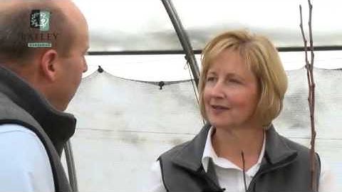 Growing Success Why Choose Bareroot