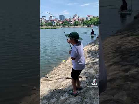 Video Khai cần câu lure Được Nheo vàng Hồ Đầm Sòi#cauca... - youtube