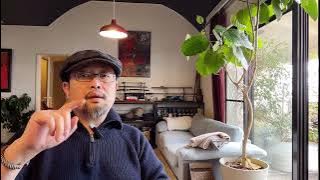 同情刘德华、理解刘德华、成为刘德华——闲聊两句刘德华当官