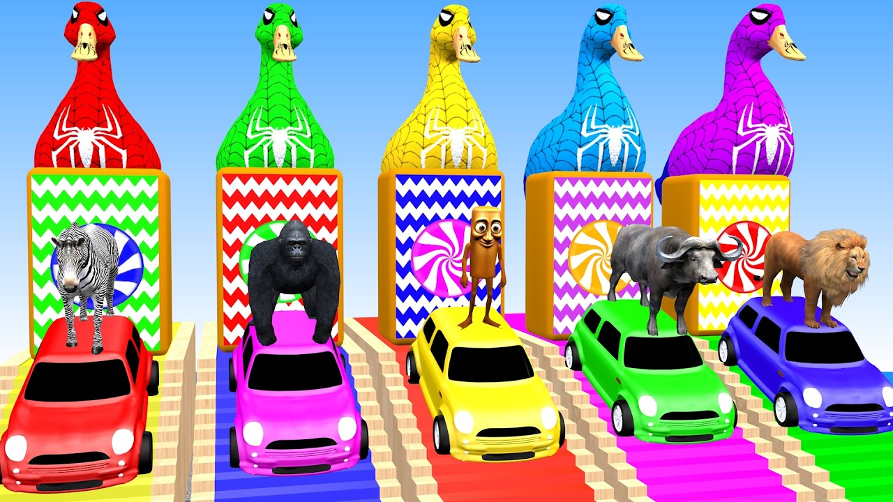 A fun 3D slide game featuring zoo animals – Animal Adventures