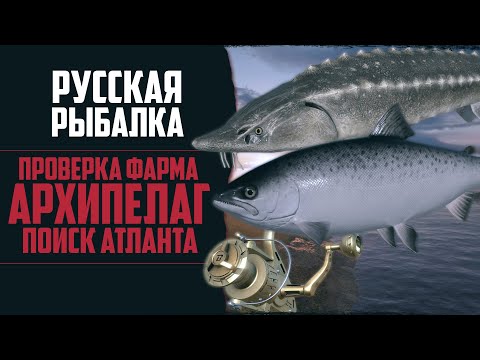 Видео: Тур по Локациям 🔴 Русская Рыбалка 4