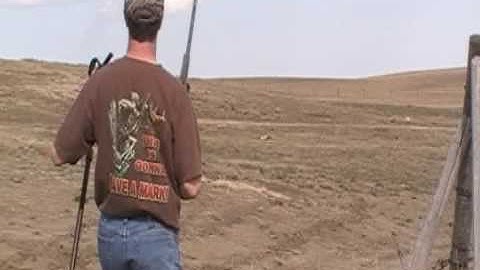 Gopher hunting in Saskatchewan