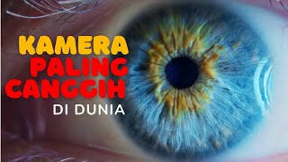 10 Fakta Unik yang Belum Kamu Tahu Tentang Tubuh Manusia!