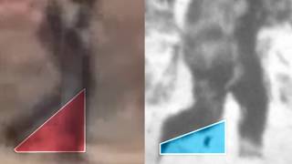 21 Degrees Between Bigfoot And You Thinkerthunker