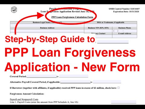 ppp loan forgiveness application