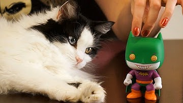 Toy Tingles 13 - ASMR Loot Crate Unboxing December 2015 Tapping, Scratching, Crinkles Triggers