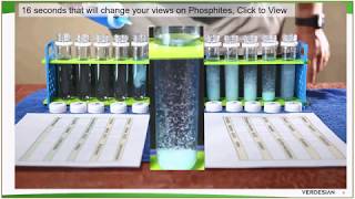 Phosphites, PolyAmines & Crop+ Webinar (April 2020)