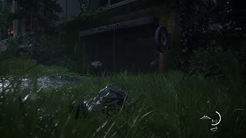 The Last of Us™ Part II graphic glitch