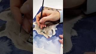 Paint whiskers on a bobcat with me 🖌