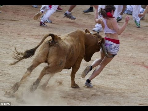 Best funny videos►►►►►►►°° just for laugh°°◄◄◄◄◄◄◄◄◄ Bull Fighting Accidents [bull fighting ] 18+ 