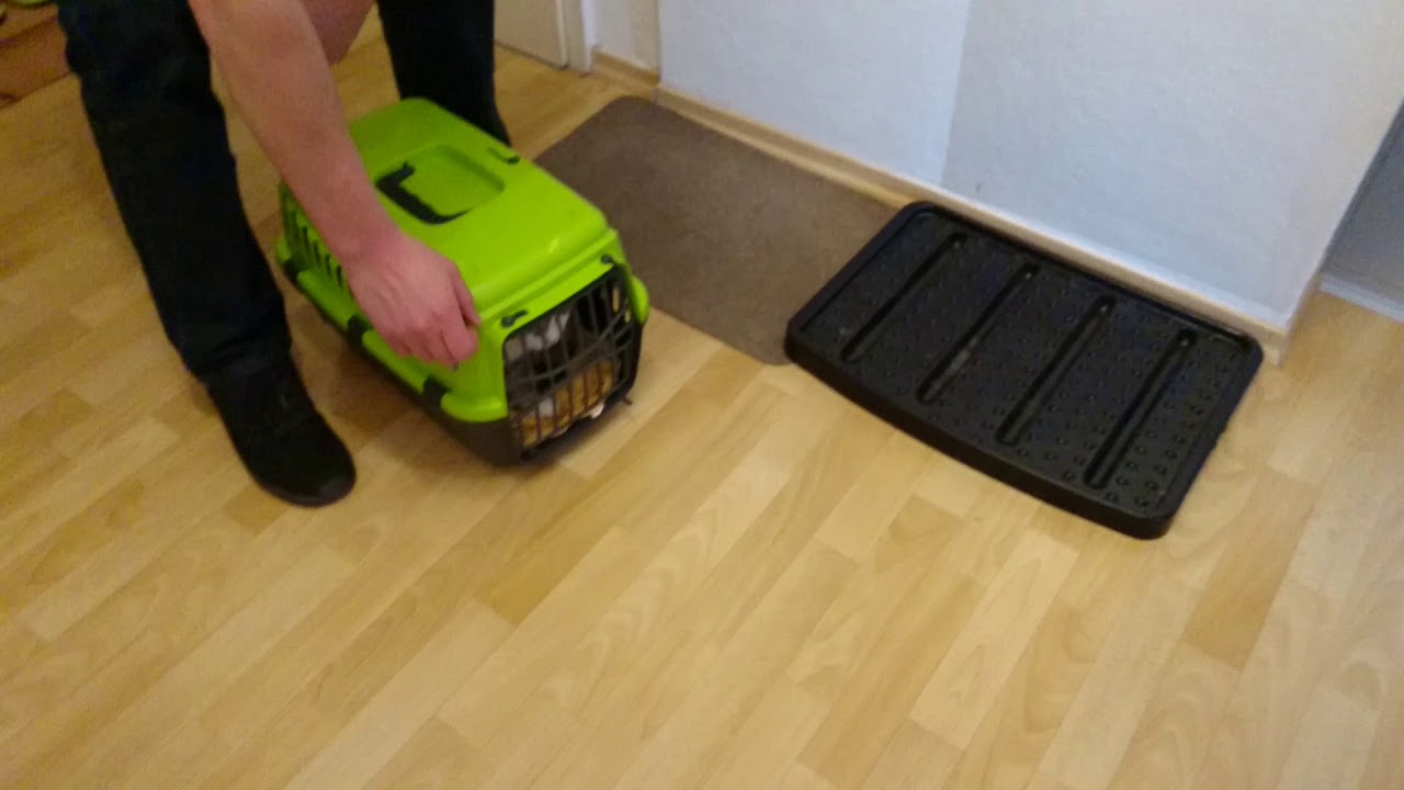 Gestern ging es zum Arzt