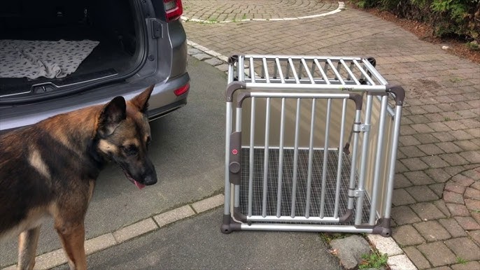 Cage de transport pour chien - ESRAA 
