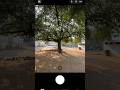 Day 3 Of Photography Until I Buy Camera #iphonephotography #cinematic #photography #shotoniphone