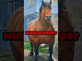 ¿Por Qué Los Caballos Son Musculosos?