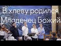 В хлеву родился Младенец Божий | Рождество 2024