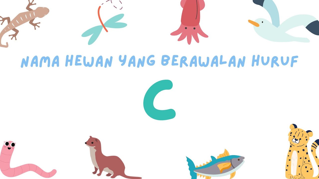 Belajar Nama Hewan yang Berawalan Huruf C bersama Skyrox-Video edukasi ...
