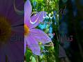 ابيات شعر على اسم نعمات Ali اكسبلور Motie Erfan حكمة اليوم 