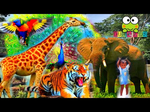 Allea Jalan Jalan di Wisata Bahari Lamongan