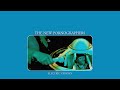 The New Pornographers- "Testament to Youth in Verse" (Official Audio)