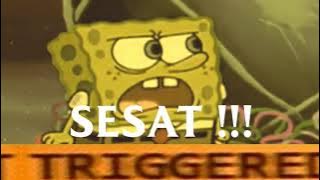 meme spongebob yang membuat otak traveling | terus lah mengocok Patrick