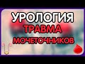 Урология.  Лекция 12. Травма органов мочеполовой системы. Травма мочеточников