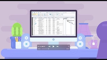 What is Steelray Project Viewer?