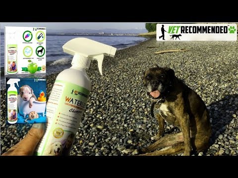 vet recommended waterless shampoo