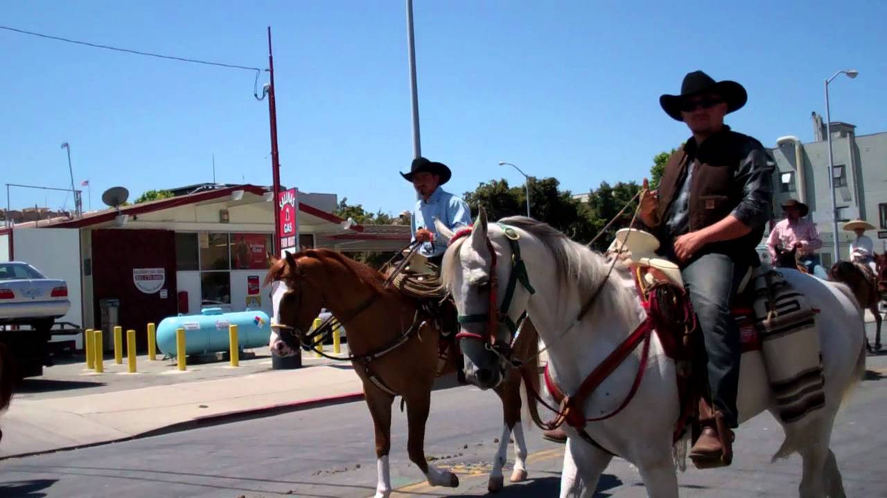 Salinas Horse Parade 5 YouTube