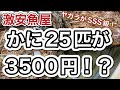 『せいこかにが1箱25杯で3500円！？』令和6年11月1日の激安魚屋@福井県敦賀市相木魚問屋