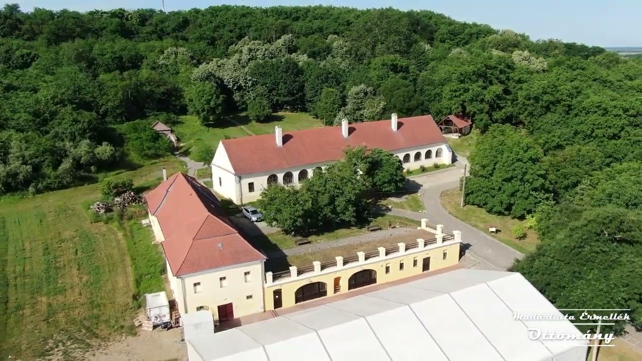 Madárlátta Érmellék - Ottomány