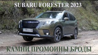 Обзор обновленного Subaru Forester 2023. Поездка на плато Ассы. Кроссоверы Subaru в Казахстане