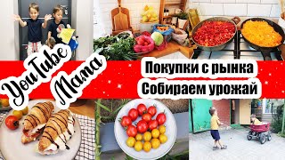видео: БОЛЬШАЯ ЗАГОТОВКА ЗАЖАРКИ 🥕🧅 ◾ ФОНТАН НА КУХНЕ 💧 ◾ БЛИЗНЕЦЫ В ГОСТЯХ 😄 ◾ ВКУСНЫЕ ПОКУПКИ С РЫНКА 🍅🥒 картинка: БОЛЬШАЯ ЗАГОТОВКА ЗАЖАРКИ 🥕🧅 ◾ ФОНТАН НА КУХНЕ 💧 ◾ БЛИЗНЕЦЫ В ГОСТЯХ 😄 ◾ ВКУСНЫЕ ПОКУПКИ С РЫНКА 🍅🥒