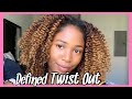 MOISTURIZED &amp; DEFINED TWIST OUT | ASIAM | SUNKISSEDCURLS