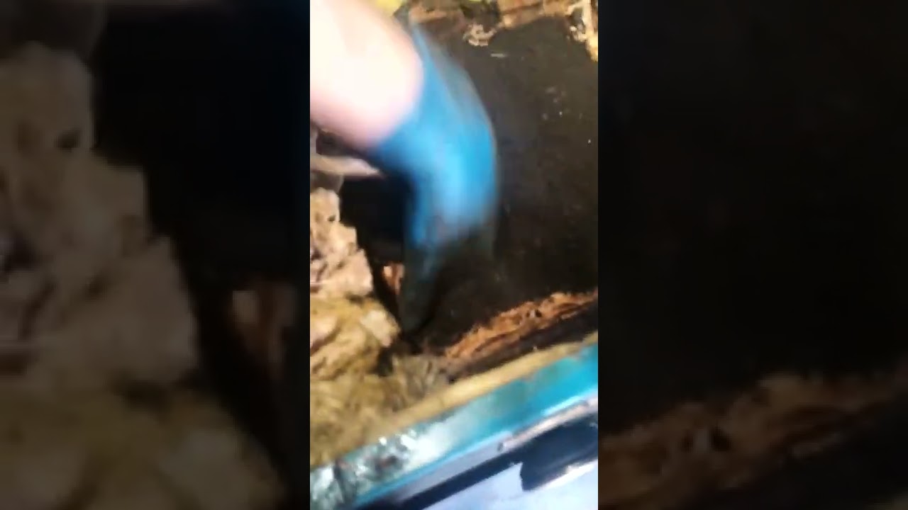 Burnham Boiler Soot build up 03/25/22