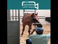 الشيخ حمدان بن محمد بن راشد فزاع