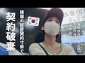 【韓国で新居探し/Vlog】 契約しに行ったら家主が怒って出ていきました...🇰🇷 また一からスタートです😮‍💨 【日韓夫婦/한일부부/日韓カップル/한일커플/韓国在住日本人】
