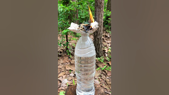 Survival Skills : Smoked Olive Oil in the Wild #survival #shrots #bushcraft #camping #skills