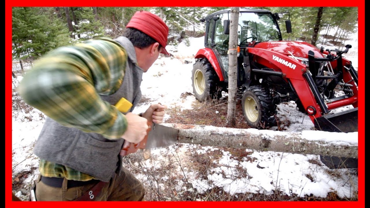 How To Cut Firewood The Old-Fashioned Way