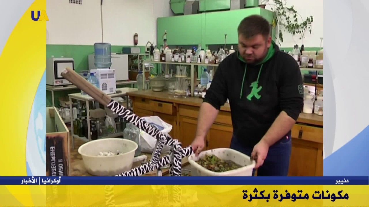 اختراع أوكراني للاستفادة من أوراق الشجر في التدفئة
