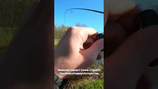 Майский хариус на Smith ARS