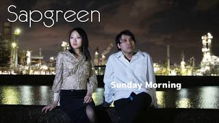 【cover】Sunday Morning/Maroon5【covered by Sapgreen】