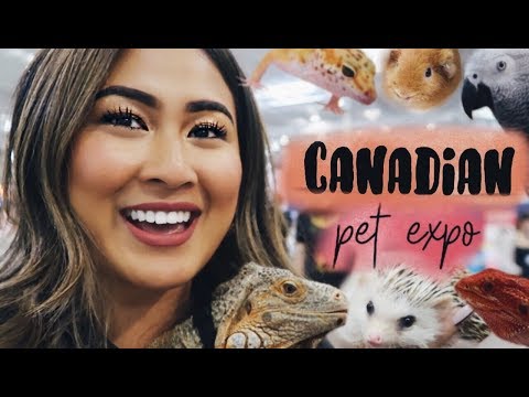 CANADIAN PET EXPO 2018