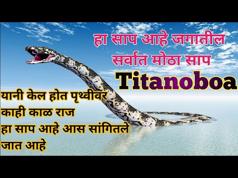 जगातील सर्वात मोठा साप | The largest snake in the world Titanoboa  #FactTechzMarathi #MarathiFacts